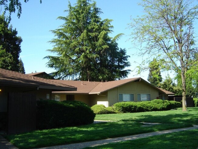 Photo - The Place Apartments