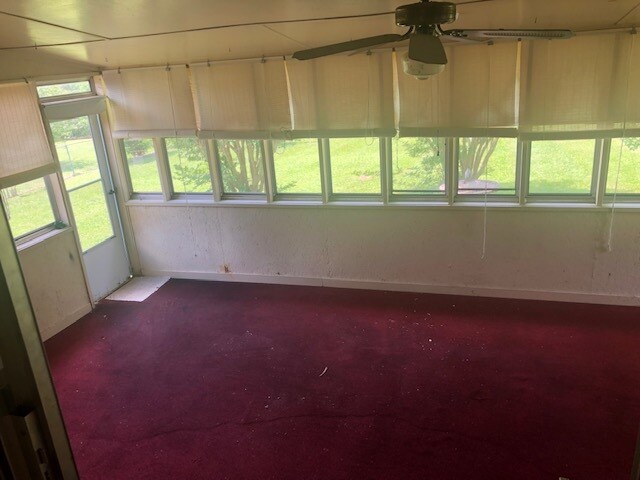 sunroom - 907 George AVE House