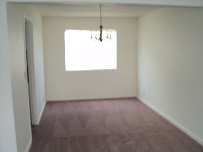Photo - 812 Cackling Dr