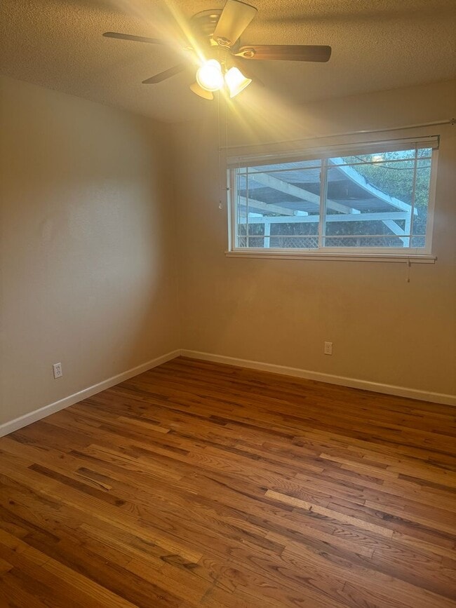 Photo - 3/1 With A Pool