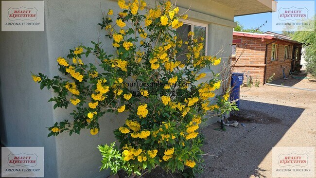 Photo - Cushman Dr - Main Unit Cushman Main house 3/3