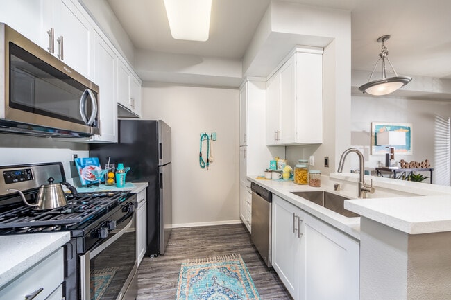 Modern Kitchen