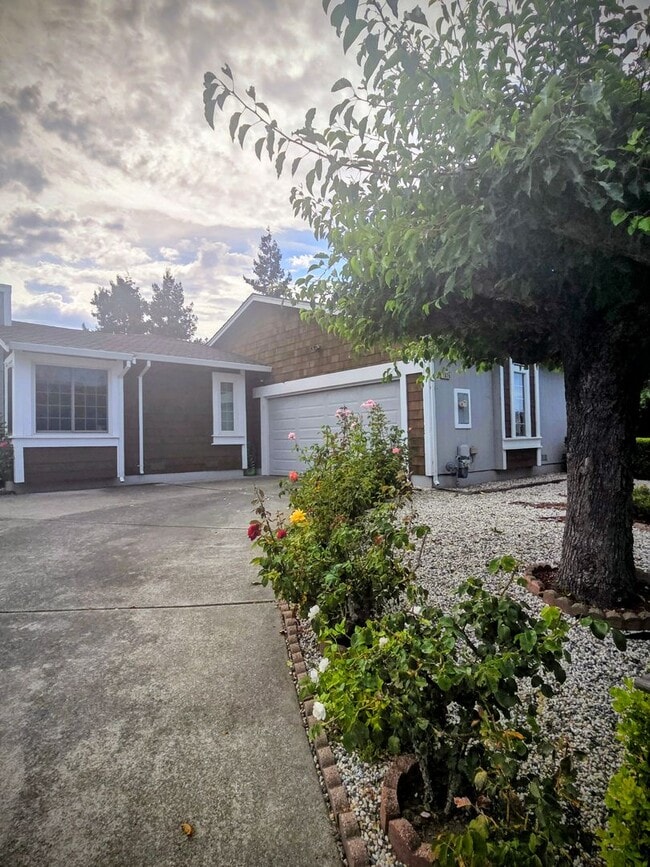 Building Photo - East Side Petaluma Gem  3 Bed 2 Bath Rental