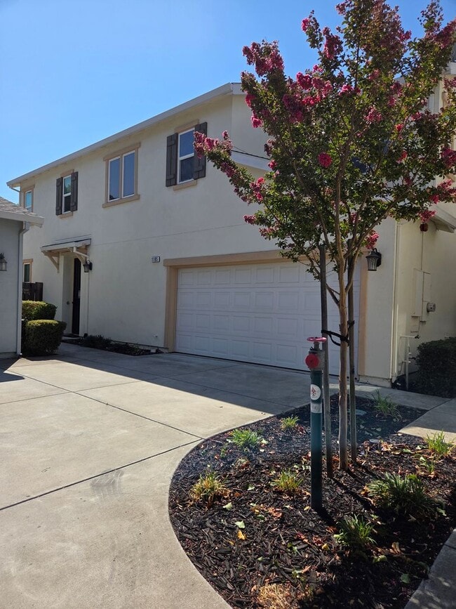 Building Photo - AVAILABLE NOW Rental