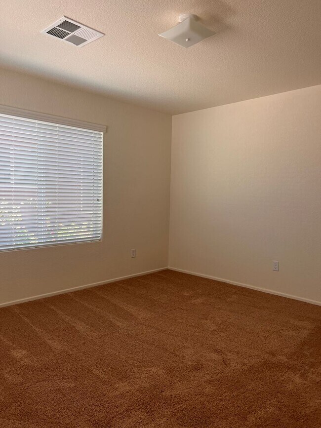 Photo - Desert Sands