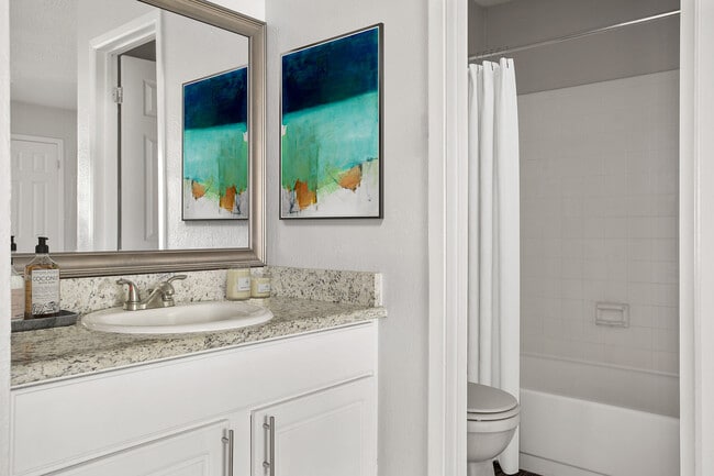 C242530_BristolGrapevine_VS Still_2b2b_Bathroom_02_final