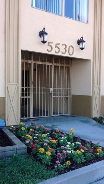 Photo - Olivewood Apartments