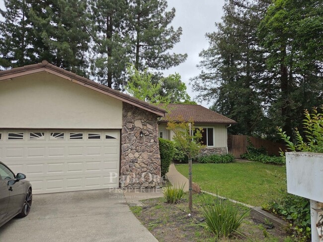Building Photo - Larkey Park Single Level Home In Walnut Creek