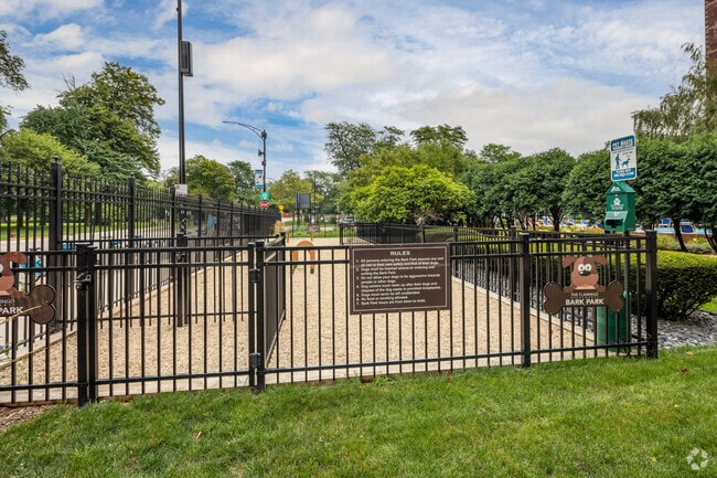 Dog Run