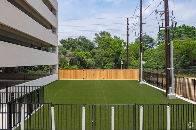 Dog park