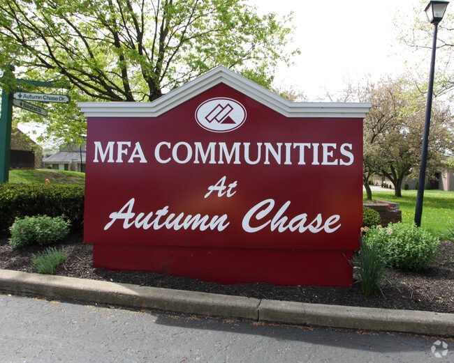 Photo - Autumn Chase