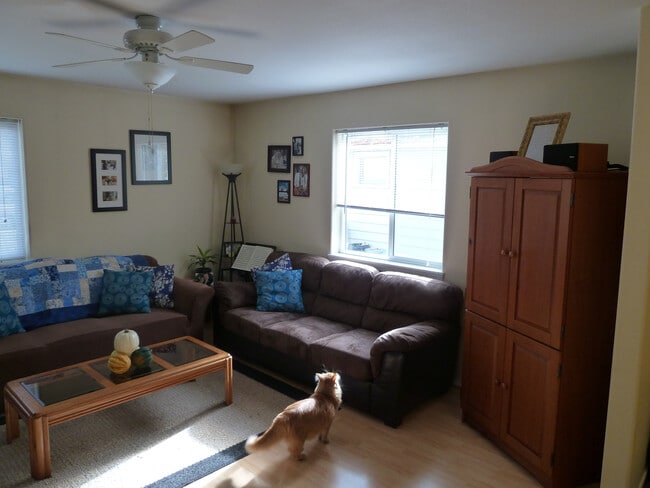 Living Room - 513 N Jefferson St Unit 101