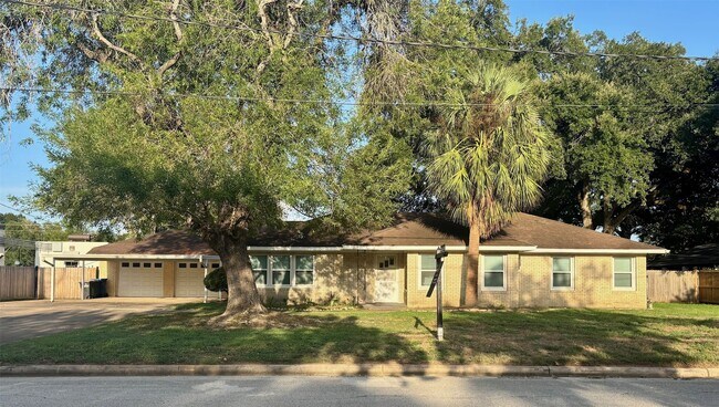 Building Photo - 1314 Avenue A Rental