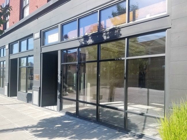 Photo - The Senator Apartments