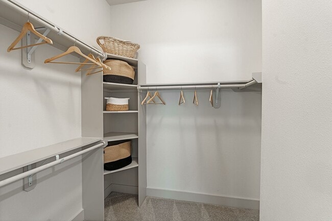 Spacious Closet