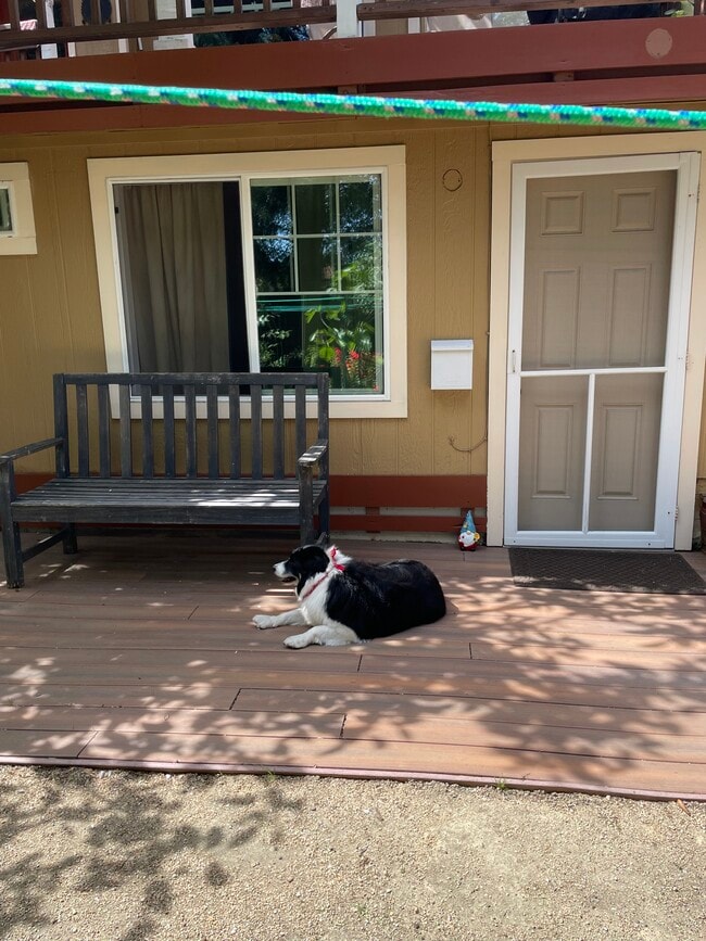 Photo - 3915 Jefferson Ave Unit 1