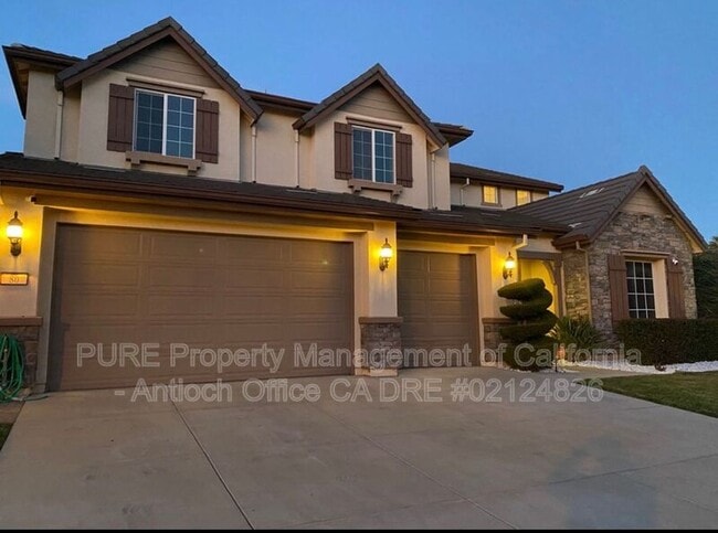 Building Photo - 80 Bottlebrush Ct