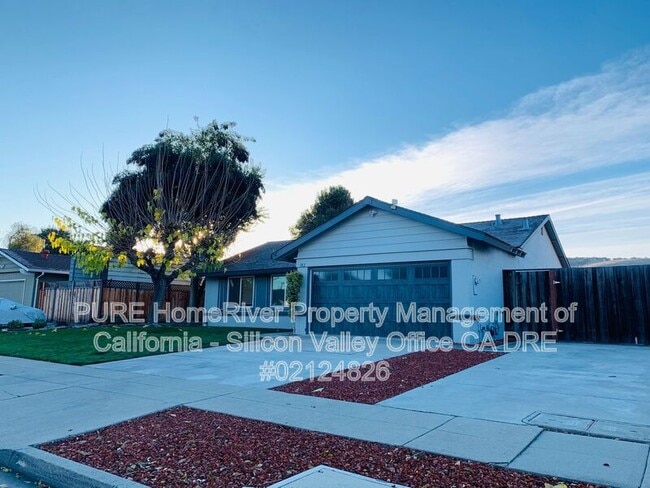 382 Madison Dr