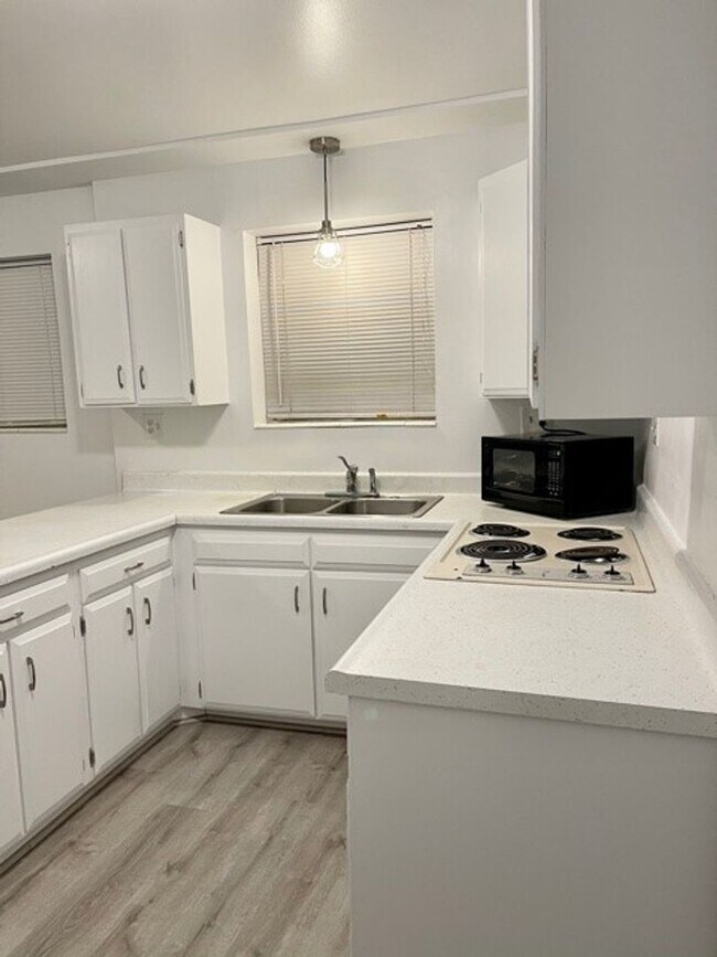 Newly Remodeled 1Bedroom Apartment Must Condo for Rent in Salt