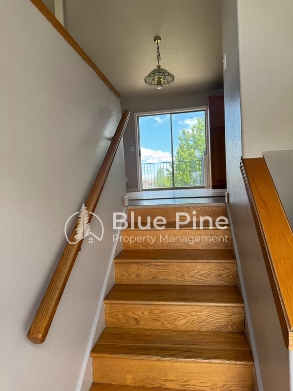 Photo - 3535 Spring Creek Dr