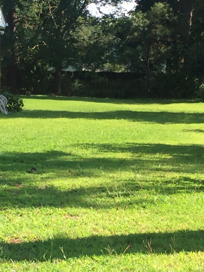 Maple Drive House House Rental in Chesapeake, VA