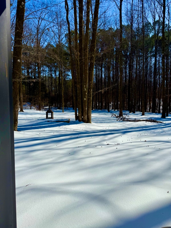 Photo - 664 Confederate Ridge Dr