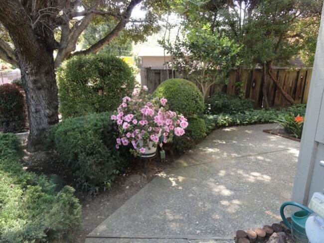 Photo - Carmel Valley Condo