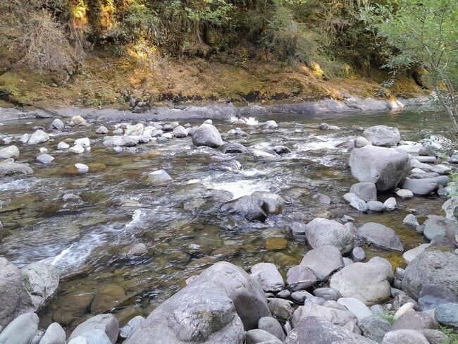 Photo - Country Setting Single Wide Manufactured H... Unidad Space-8-MH