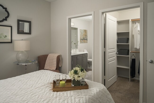Large bedroom with large walk-in closets at Trevi Apartment Homes