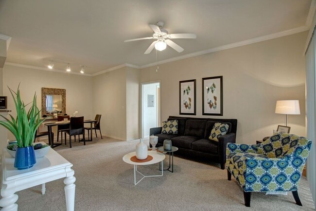 Photo - Woodland Park