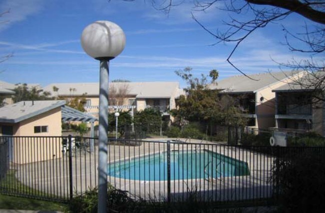 Pool - Jasmine Springs