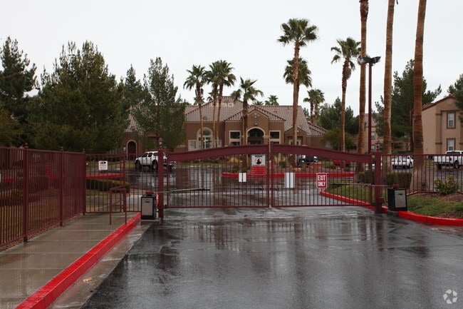 Photo - Copper Palms