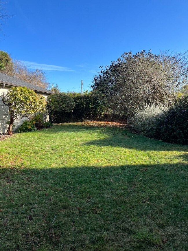 Sunny 2/1 Eureka House with a Fantastic Yard! House Rental in Eureka