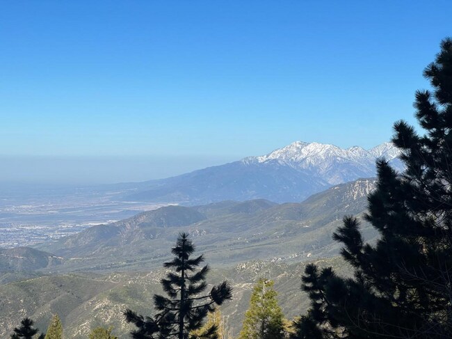 Photo - 1960 Willow Dr Casa