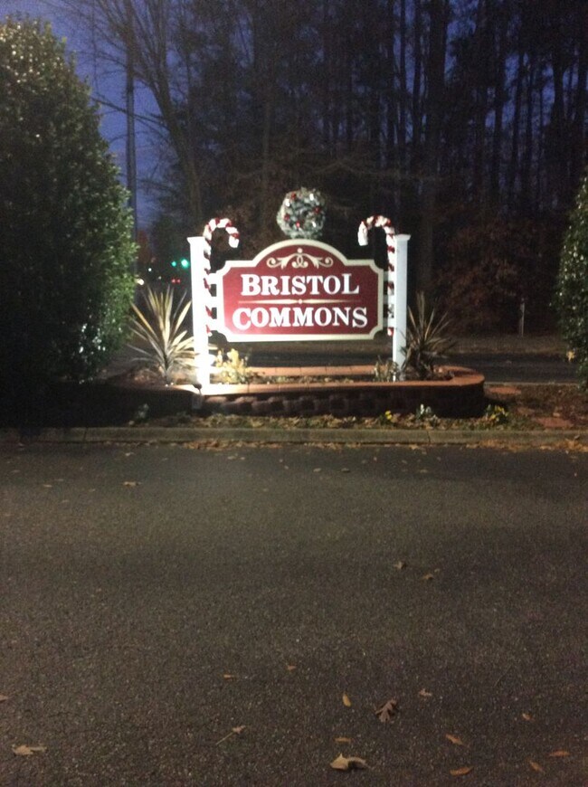 Bristol Commons Rental House Rental in Williamsburg, VA