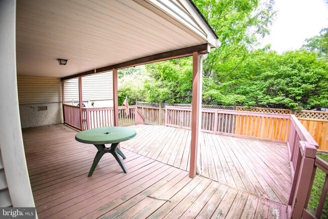 Photo - 419 University Blvd