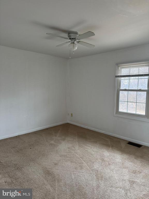 Photo - 212 Cameron St