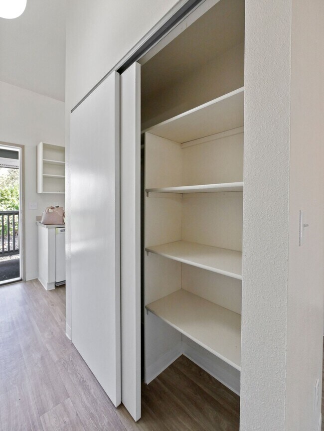 Photo - Madrona Park