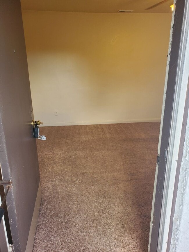 Photo - Elizabeth Park