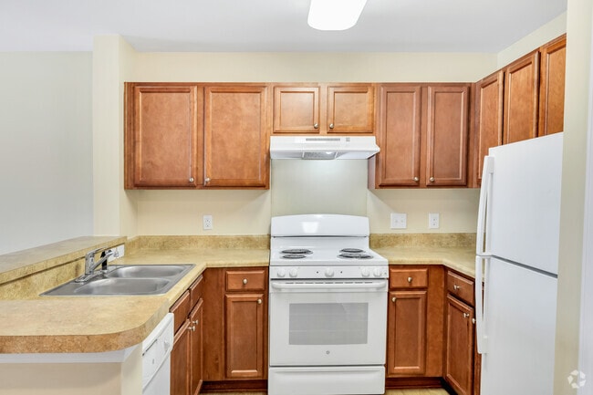 Birch Type 1S - 2BR, 1BA - 940SF - Kitchen