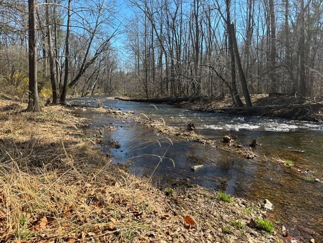 Photo - Rare Oasis: 2BR Home with Large Loft Area on 1.5 Acres Bordering National Forest and Fronting Dry...