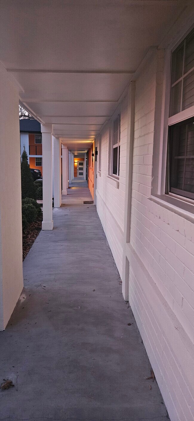 Plaza Midwood Apartments
