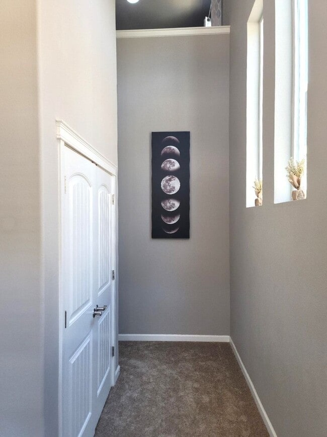 Photo - 3 Bedroom Home in Freestone at Bayside