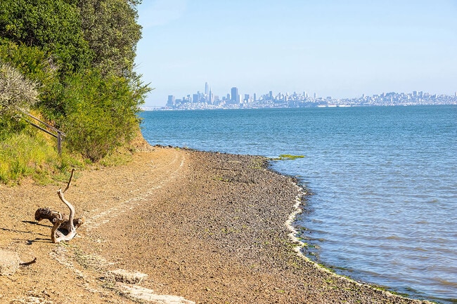 The Cove at Tiburon