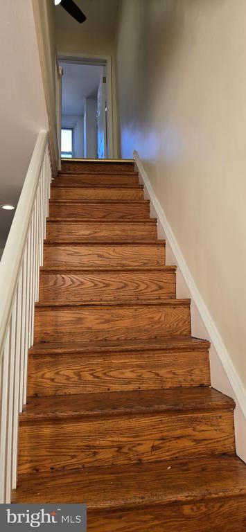 Photo - 2831 Cantrell St