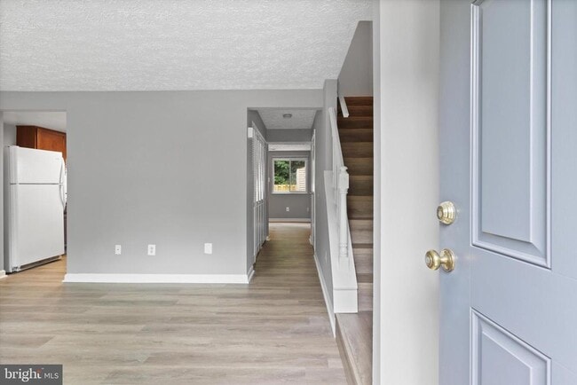 Photo - 8353 Fern Leaf Ct