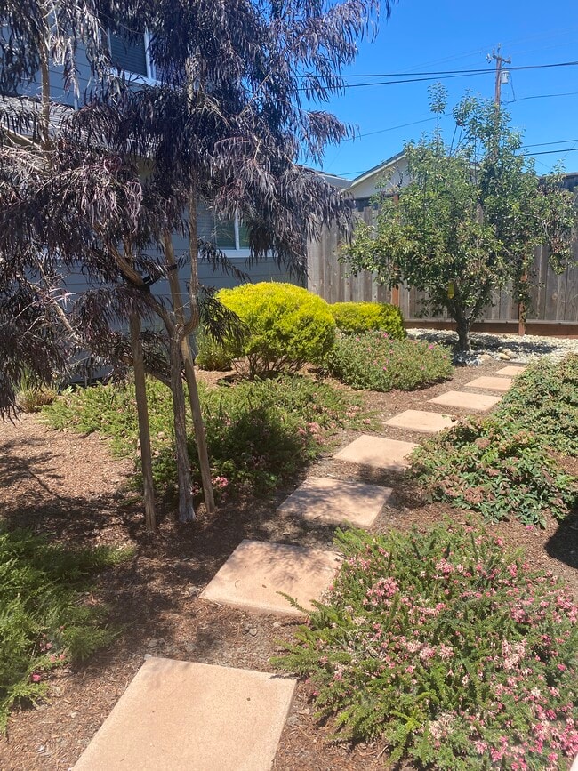 Photo - 837 Corcoran Ave