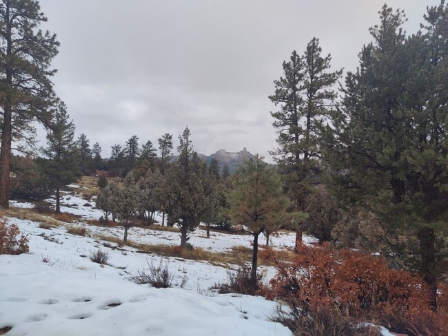 Photo - 1001A Co Rd 917