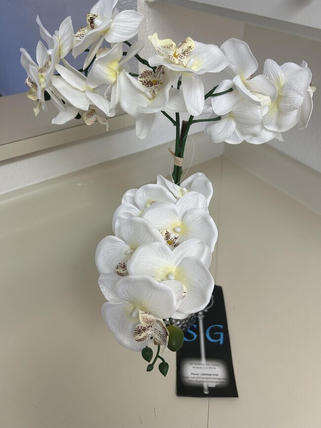 Photo - 1808 Colorado Ave