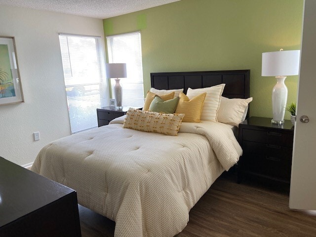 Photo - Lake in the Woods